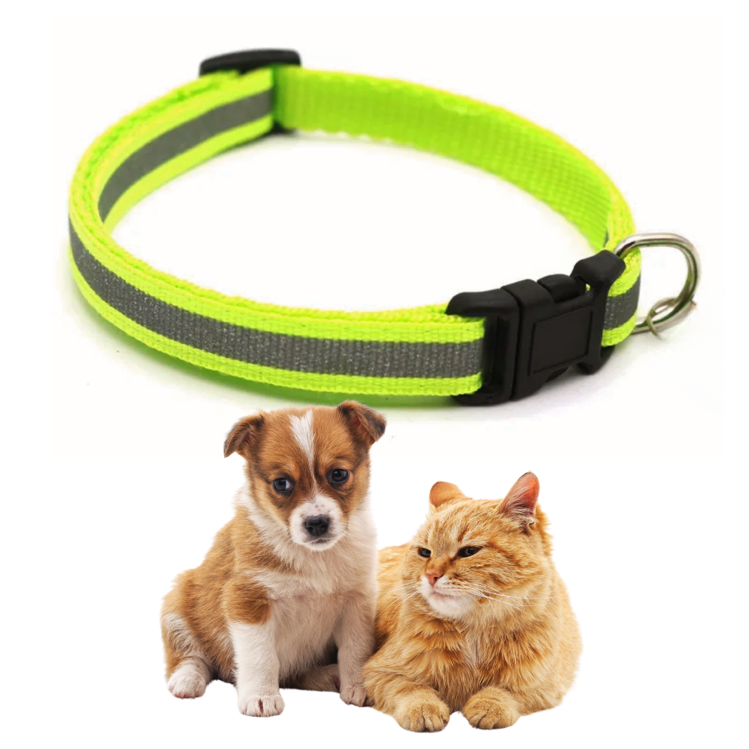 Collar ajustable para perros y gatos