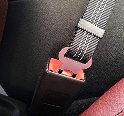 Cinturón de seguridad para  perro