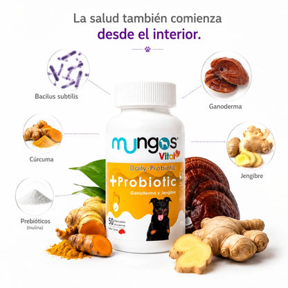 Kit Completo RENOVAPET® para la Salud Oral de Perros