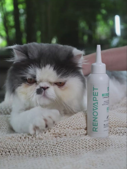 Kit Dental Perros Y Gatos Elimina Sarro Mal Aliento Renovapet + Snacks