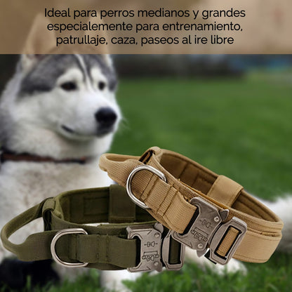 Collar Para Perro Táctico Ajustable