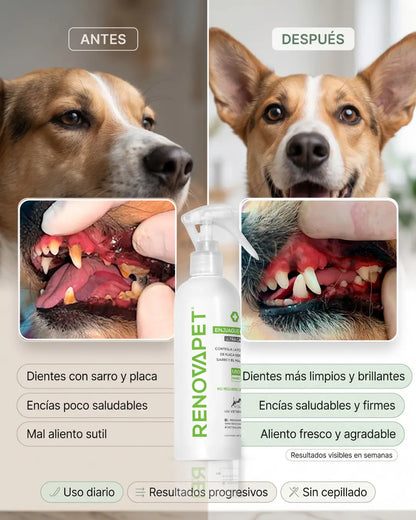 Lleva 3 RENOVAPET y paga solo 2