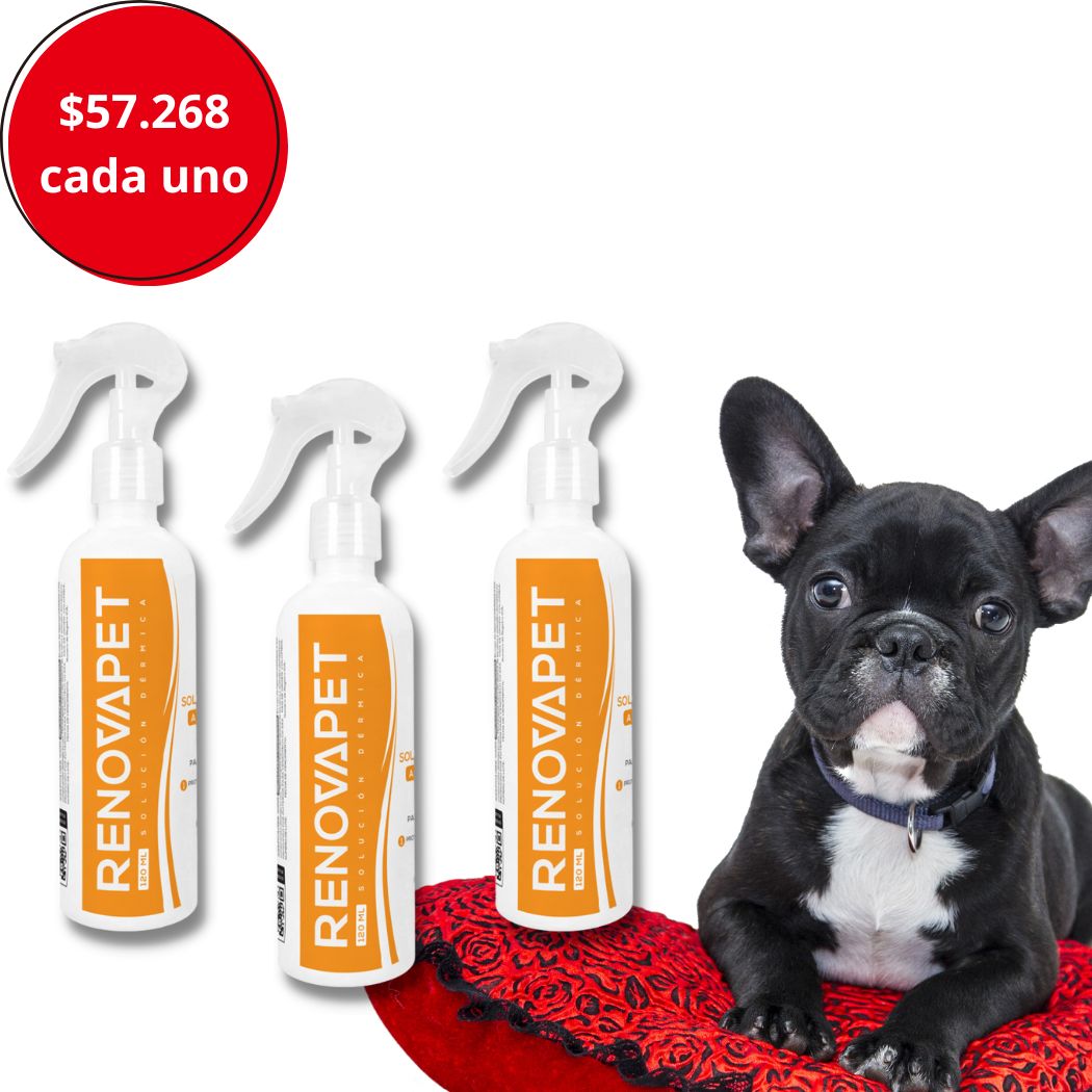 RENOVAPET TÓPICO