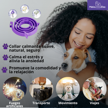 Collar Relajante Calmante Antiestres De Feromonas Para Perros